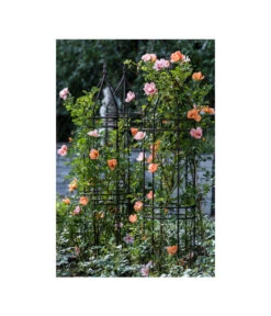 Dehner Premium Obelisk Odin 15 Dehner Premium Obelisk Odin -Gartenbedarf Angebote 2480069 2480093 2480119 WE MO 006 DehnerPremiumObeliskOdinRankhilfe