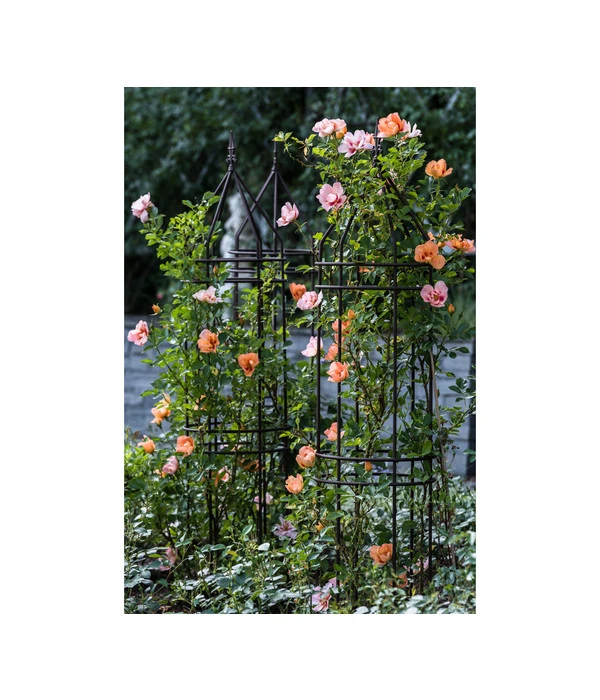 Dehner Premium Obelisk Odin 6 Dehner Premium Obelisk Odin – Bild 6