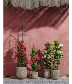 Dehner Premium Obelisk Odin 16 Dehner Premium Obelisk Odin -Gartenbedarf Angebote 2480069 2480093 2480119 WE MO 007 DehnerPremiumObeliskOdin