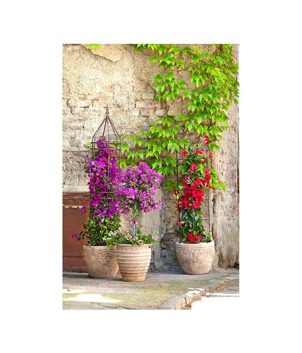 Dehner Premium Obelisk Odin 9 Dehner Premium Obelisk Odin – Bild 9