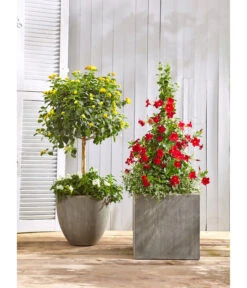 Gartenbedarf Angebote -Gartenbedarf Angebote 3158847 3158870 3158888 WE MO 001 PolystoneTopfinRiffeloptikrundsand