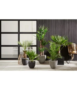 Dehner Polystone-Topf Brisbane In Riffeloptik, Rund -Gartenbedarf Angebote 3158847 3158870 3158888 WE MO 002 PolystoneTopfinRiffeloptikrundsand