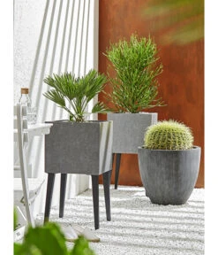 Dehner Polystone-Topf Brisbane In Riffeloptik, Rund -Gartenbedarf Angebote 3158847 3158870 3158888 WE MO 005 PolystoneTopfinRiffeloptik