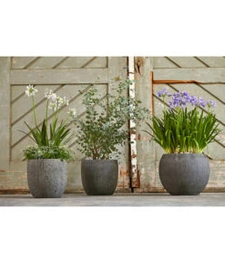 Dehner Polystone-Topf Kapstadt, Rund, Grau 8 Dehner Polystone-Topf Kapstadt, Rund, Grau -Gartenbedarf Angebote 3207990 3208022 WE MO 002 DehnerPolystoneTopfbauchiggrau