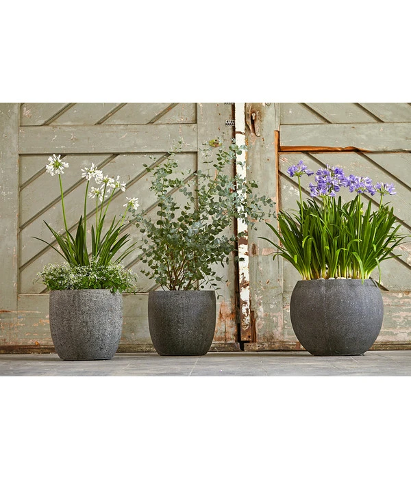 Dehner Polystone-Topf Kapstadt, Rund, Grau 3 Dehner Polystone-Topf Kapstadt, Rund, Grau – Bild 3