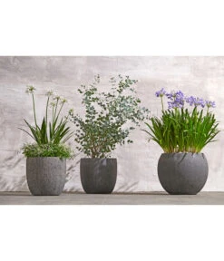 Dehner Polystone-Topf Kapstadt, Rund, Grau 7 Dehner Polystone-Topf Kapstadt, Rund, Grau -Gartenbedarf Angebote 3207990 WE MO 002 PolystoneTopf