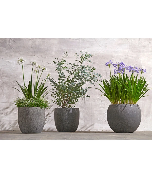 Dehner Polystone-Topf Kapstadt, Rund, Grau 2 Dehner Polystone-Topf Kapstadt, Rund, Grau – Bild 2
