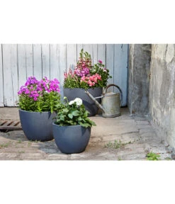 Dehner Leichtbeton-Pflanztopf Manchester, Rund, Antik-schwarz -Gartenbedarf Angebote 3337151 3337169 3337136 3337144 WE MO 002 DehnerLeichtbetonPflanztopfantikschwarz