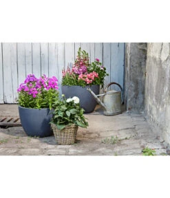 Dehner Leichtbeton-Pflanztopf Manchester, Rund, Antik-schwarz -Gartenbedarf Angebote 3337151 3337169 3337136 3337144 WE MO 003 DehnerLeichtbetonPflanztopfantikschwarz