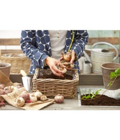 Van Der Leeden Rattan-Pflanzkasten, Graubraun 15 Van Der Leeden Rattan-Pflanzkasten, Graubraun -Gartenbedarf Angebote 3692761 3692548 3692506 WE MO 008 RattanPflanzkastenbraunBlumenkasten