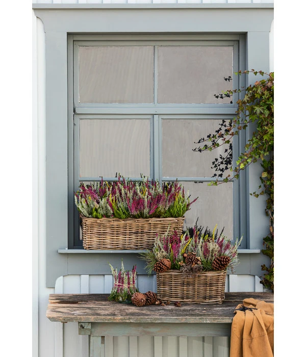 Van Der Leeden Rattan-Pflanzkasten, Graubraun 8 Van Der Leeden Rattan-Pflanzkasten, Graubraun – Bild 8