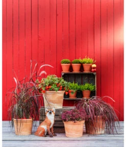 Spang Terrakotta-Topf Toscana, Rund -Gartenbedarf Angebote 3697612 WE MO 004 TerrakottaTopfToscanarund