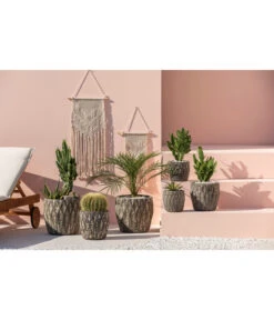 Feigenkaktus - Opuntia Consolea -Gartenbedarf Angebote 4432415 PR MO 001 KeramikTopfNero