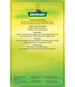 Kirschen-Duo 'Regina/Napoleon' 11 Kirschen-Duo 'Regina/Napoleon' -Gartenbedarf Angebote 7738792 Suesskirschen DuoReginaNapoleon Etikett 2