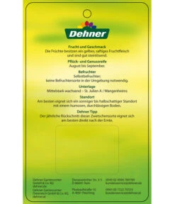 Zwetschge 'Kulinaria-Toptaste' -Gartenbedarf Angebote 7763881 ZwetscheKulinariaToptaste Etikett 2