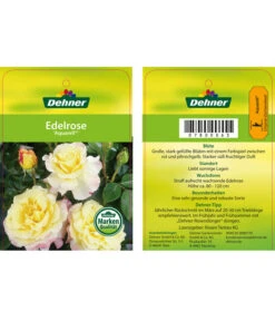 Edelrosen-Mix 'Nostalgie®' 25 Edelrosen-Mix 'Nostalgie®' -Gartenbedarf Angebote 7800063 AquarellEdelrose Etikett1