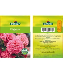 Edelrosen-Mix 'Nostalgie®' 26 Edelrosen-Mix 'Nostalgie®' -Gartenbedarf Angebote 7800063 AshleyEdelrose Etikett1