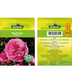 Edelrosen-Mix 'Nostalgie®' 28 Edelrosen-Mix 'Nostalgie®' -Gartenbedarf Angebote 7800063 BaronesseBeetrose Etikett1