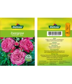 Edelrosen-Mix 'Nostalgie®' 30 Edelrosen-Mix 'Nostalgie®' -Gartenbedarf Angebote 7800063 HeidiKlumZwergrose Etikett1