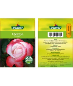 Edelrosen-Mix 'Nostalgie®' 31 Edelrosen-Mix 'Nostalgie®' -Gartenbedarf Angebote 7800063 NostalgieEdelrose Etikett1