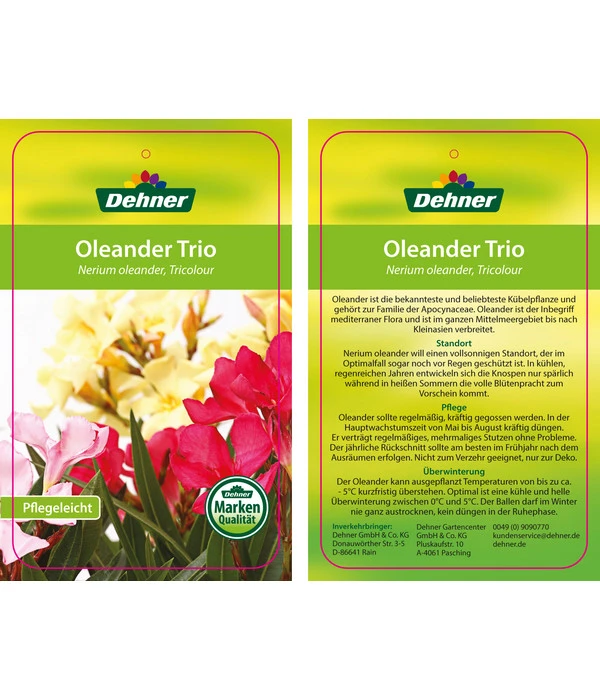 Oleander-Trio 6 Oleander-Trio – Bild 6