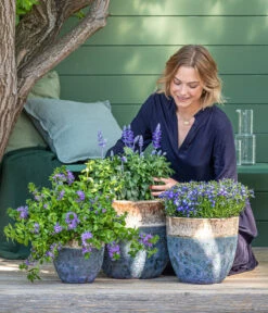 Dehner Keramik-Topf Mystras, Rund, Blau-braun 8 Dehner Keramik-Topf Mystras, Rund, Blau-braun -Gartenbedarf Angebote 8811143 WE MO 001 BlaueMauritius